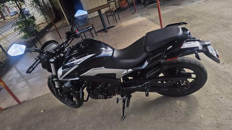 Dominar 250