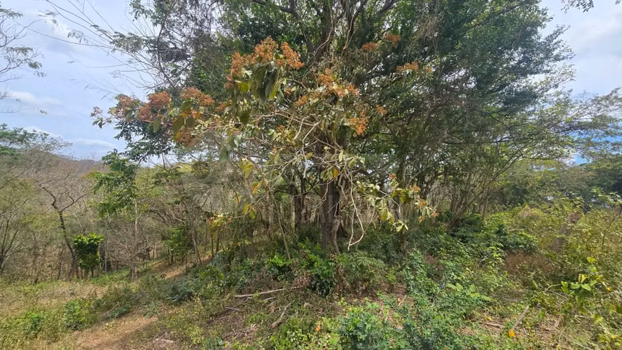 Atractivo Terreno en venta en Cocote Dulce Villa Fontana Sur