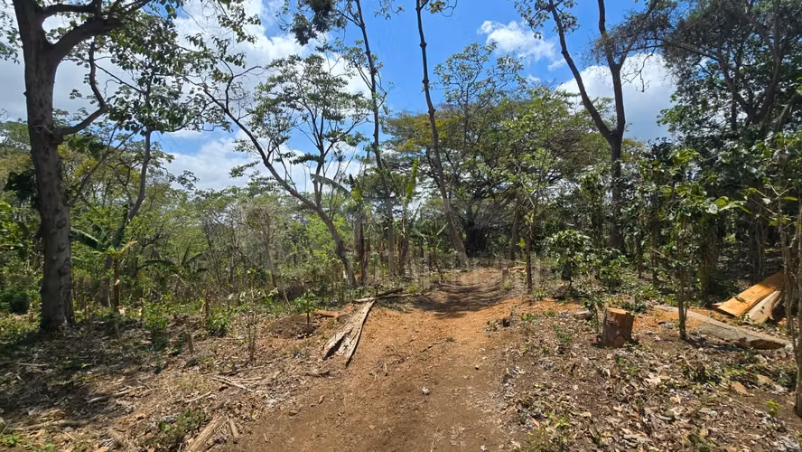 Excelente Terreno en venta en Las Viudas Jocote Dulce
