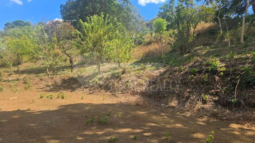 Excelente Terreno en venta en Las Viudas Jocote Dulce