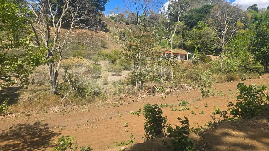 Excelente Terreno en venta en Las Viudas Jocote Dulce