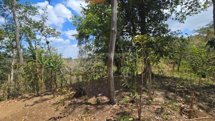 Excelente Terreno en venta en Las Viudas Jocote Dulce