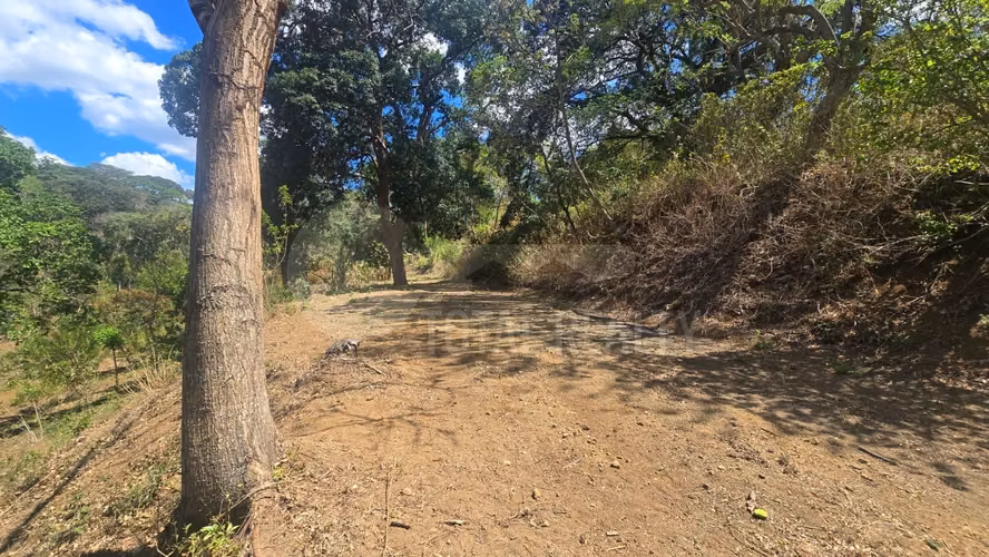 Excelente Terreno en venta en Las Viudas Jocote Dulce