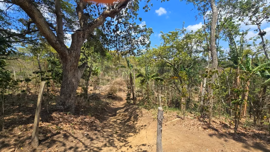 Excelente Terreno en venta en Las Viudas Jocote Dulce