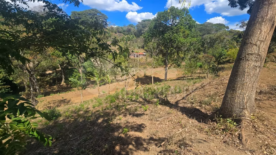 Excelente Terreno en venta en Las Viudas Jocote Dulce