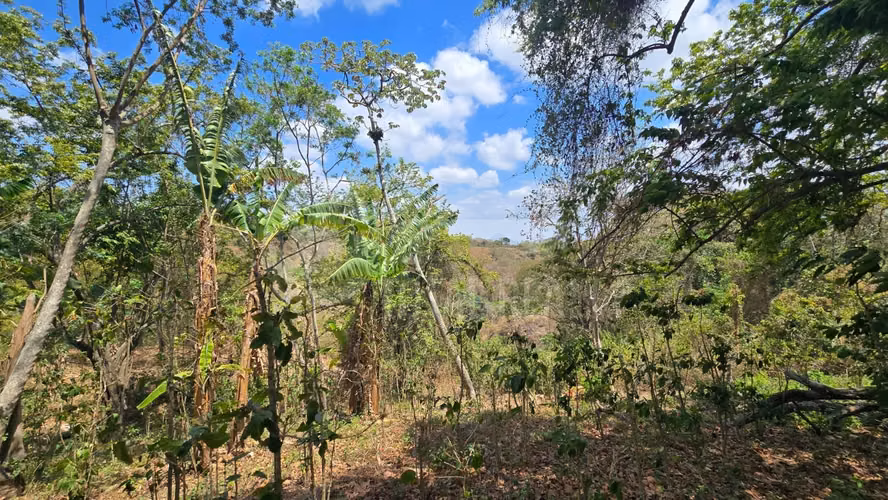 Excelente Terreno en venta en Las Viudas Jocote Dulce
