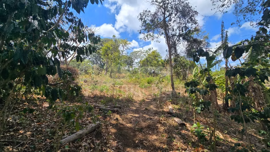 Excelente Terreno en venta en Las Viudas Jocote Dulce