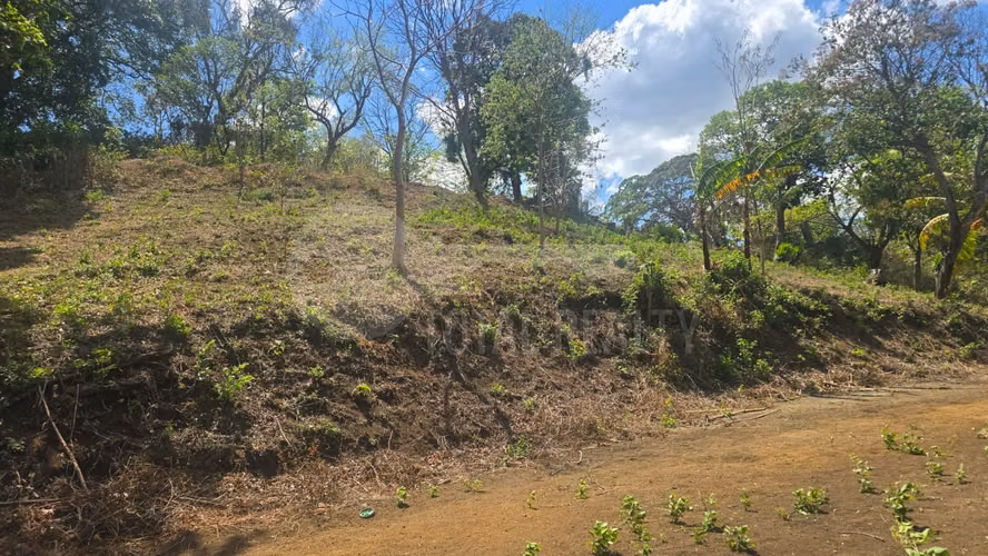 Excelente Terreno en venta en Las Viudas Jocote Dulce