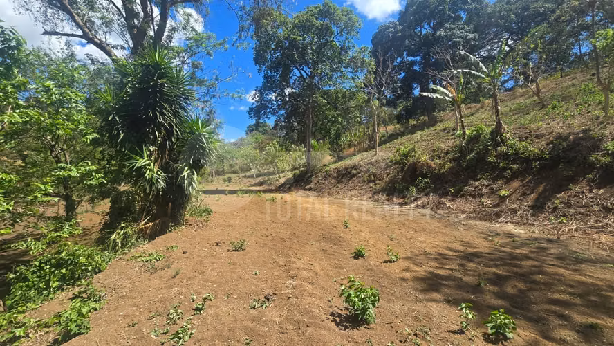 Excelente Terreno en venta en Las Viudas Jocote Dulce