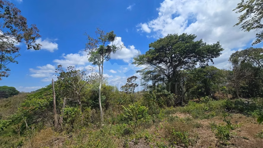 Excelente Terreno en venta en Las Viudas Jocote Dulce