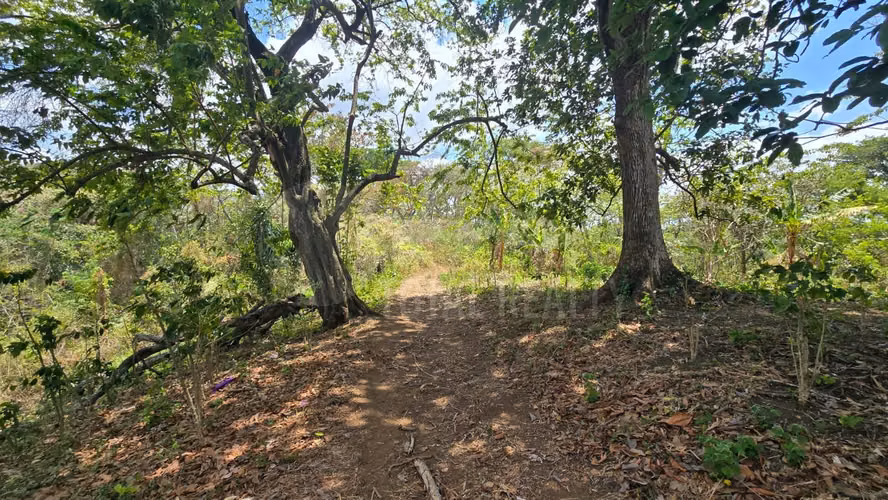 Excelente Terreno en venta en Las Viudas Jocote Dulce