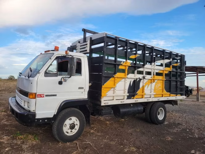 VENDO CAMION PARA TRABAJO