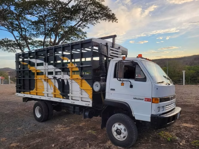 VENDO CAMION PARA TRABAJO