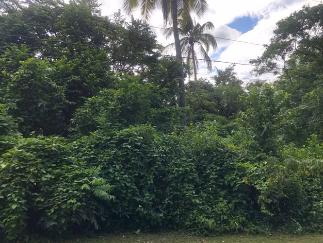 Venta de terreno en Villa Fontana