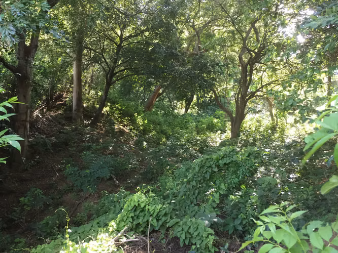 Venta de terreno en Villa Fontana