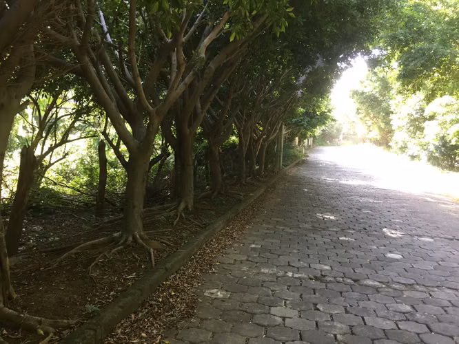 Venta de terreno en Villa Fontana