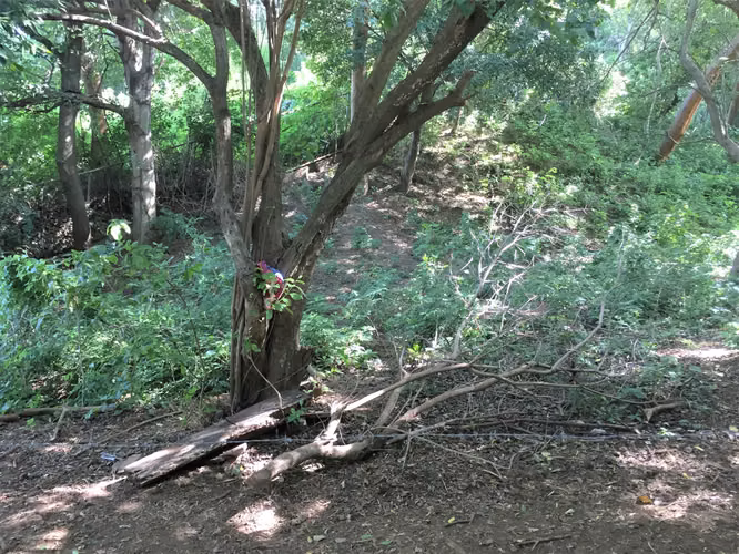 Land for sale in Villa Fontana