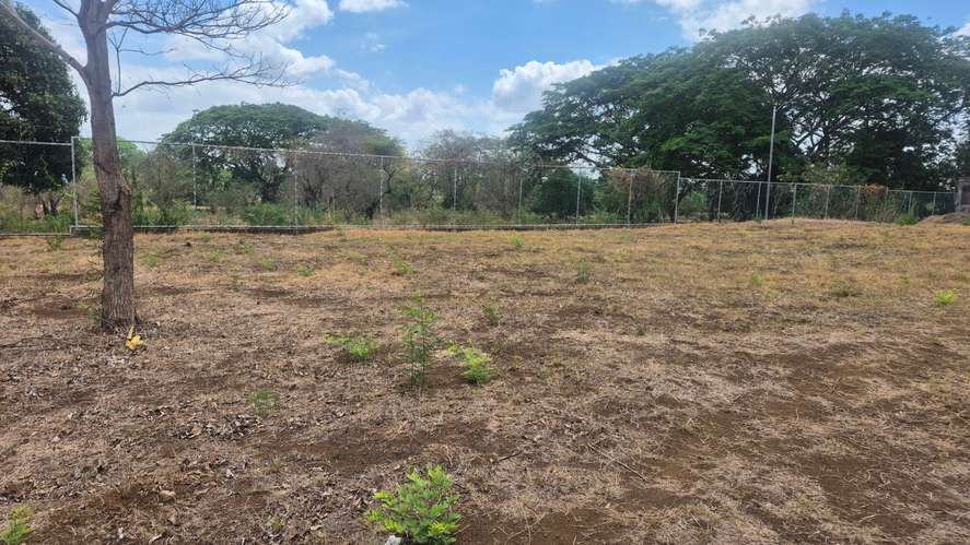 Lote en venta en Ticuantepe - Imagen 4