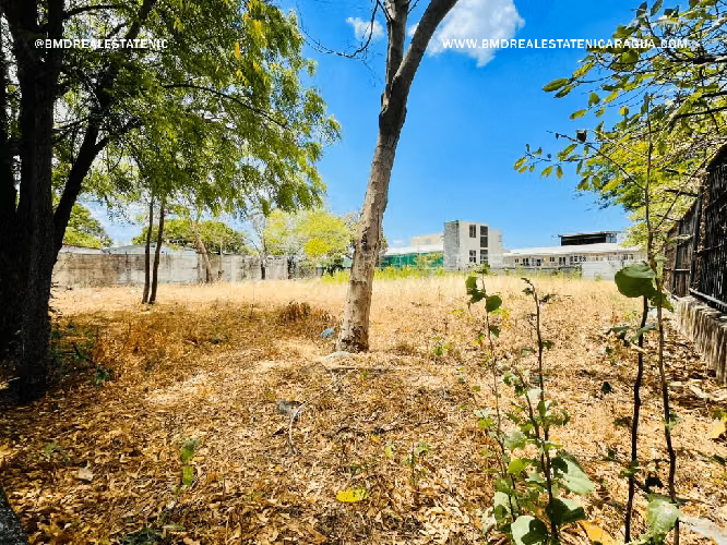 Lote Esquinero en Alquiler– Ubicación Estratégica para tu Negocio NG