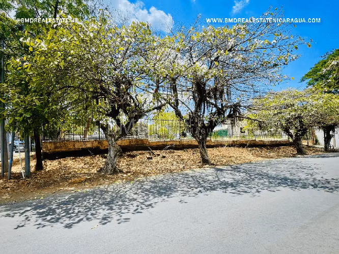 Lote Esquinero en Alquiler– Ubicación Estratégica para tu Negocio NG