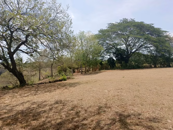 NINDIRI - MASAYA. SE VENDE PROPIEDAD DE 2 MANZANAS.