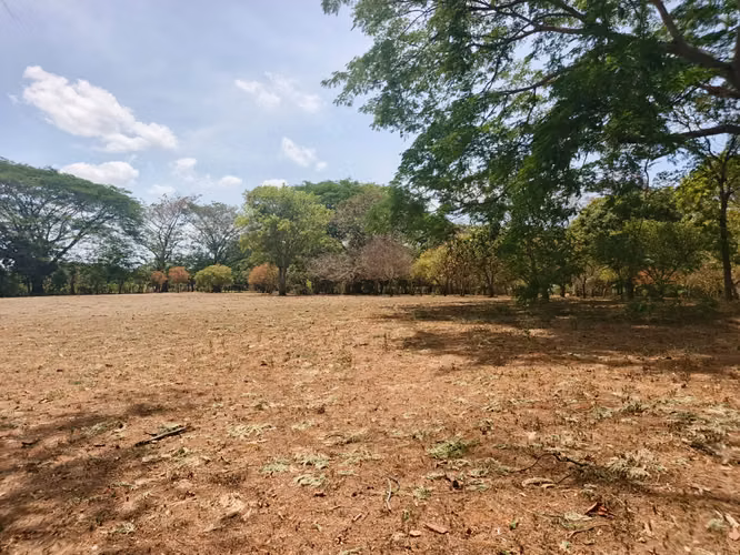 NINDIRI - MASAYA. SE VENDE PROPIEDAD DE 2 MANZANAS.