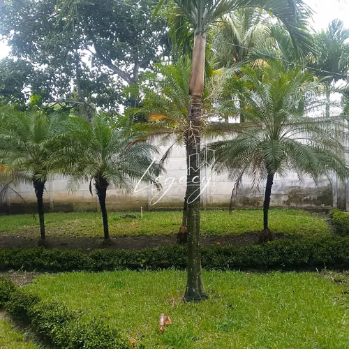 LLD-Quinta en Venta en Ticuantepe!