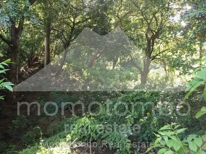 Terreno en Venta Villa Fontana Sur, Managua - Imagen 4