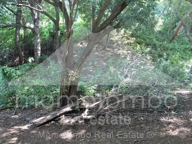 Land for Sale Villa Fontana Sur, Managua