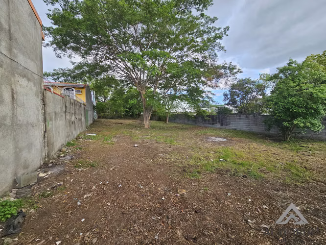 LAND FOR SALE IN SAN JUAN DISTRIBUTION