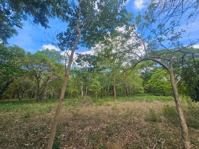 VENTA DE TERRENO de 4.5 mnz a orillas de la carretera Diriomo Guanacaste ml - Imagen 6