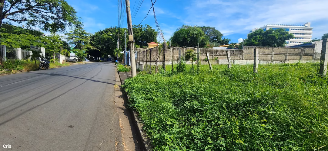Alquiler de terreno en Planes de Altamira