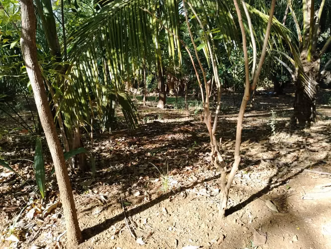 KC-TERRENO EN VENTA | CAMINO VIEJO A SANTO DOMINGO