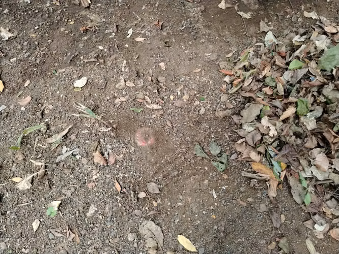KC-TERRENO EN VENTA | CAMINO VIEJO A SANTO DOMINGO