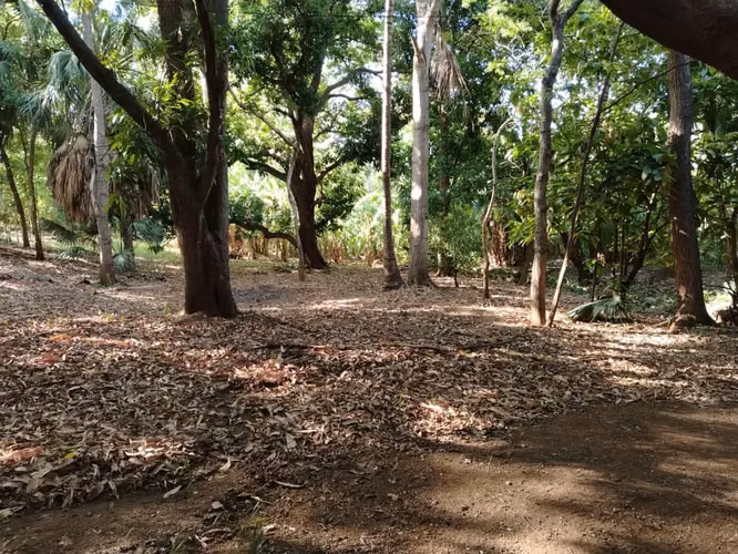 KC-TERRENO EN VENTA | CAMINO VIEJO A SANTO DOMINGO