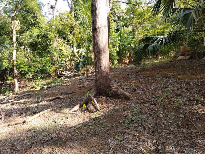 KC-TERRENO EN VENTA | CAMINO VIEJO A SANTO DOMINGO