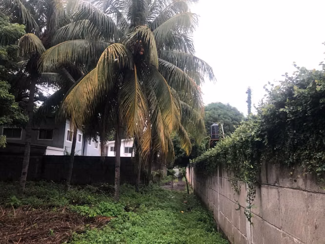 Venta de terreno en Las Colinas - Imagen 4