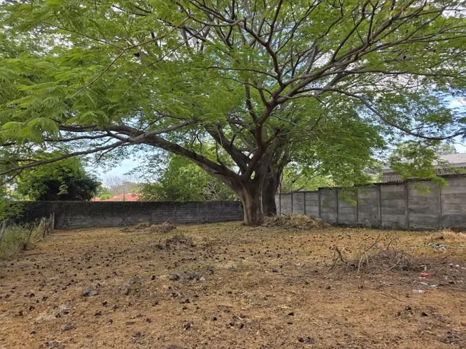 Venta de Lote en Residencial Cedro Galan - Imagen 4