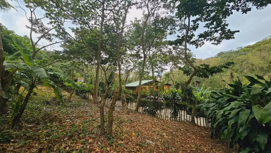  ¡Construye la casa de tus sueños en un entorno mágico y exclusivo!