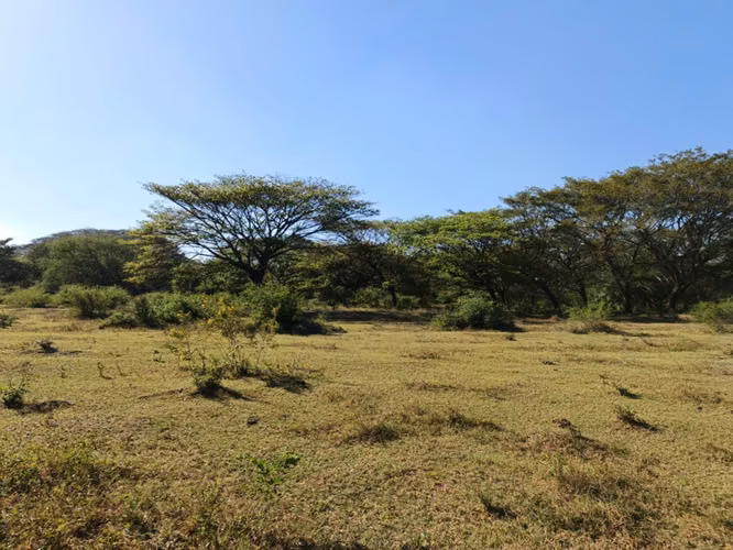 Venta de Finca en Nagarote