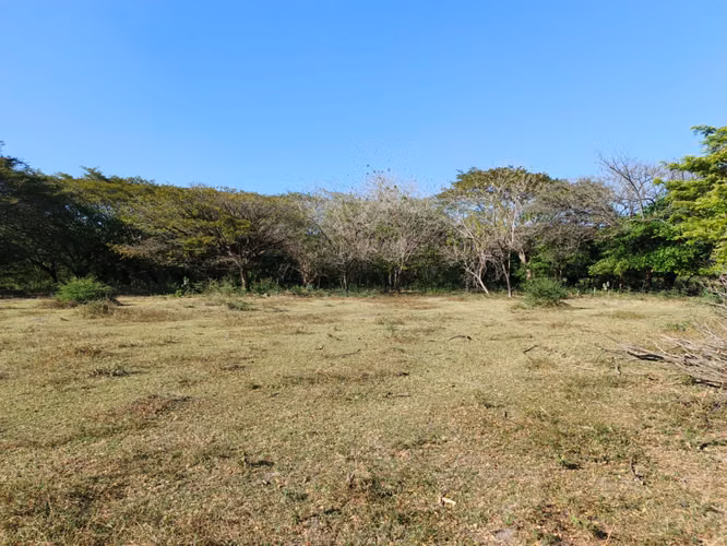 Venta de Finca en Nagarote