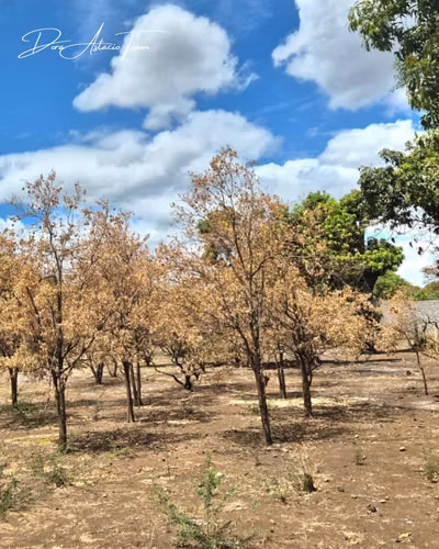 ¡En venta! Propiedad comercial de 2mz, ubicada en Sabana Grande.