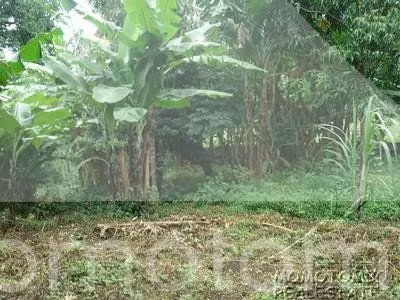 Terreno en Venta las cumbres, managua