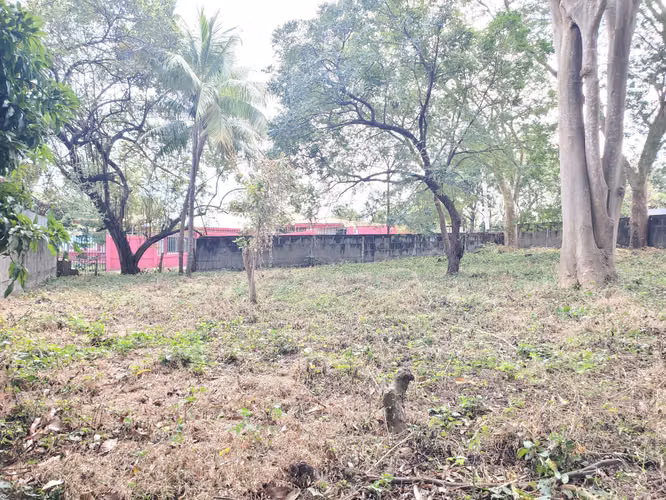 NO-Vendo terreno en Carretera Masaya km 15 - Imagen 3