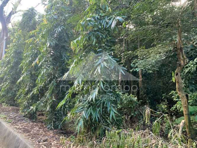 Terreno en Venta Carretera Sur, Managua - Imagen 2