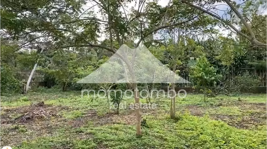 Terreno en Venta San Marcos, San Marcos