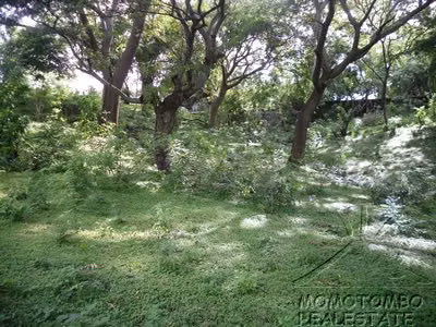 Venta de terreno en Carretera Sur - Imagen 13