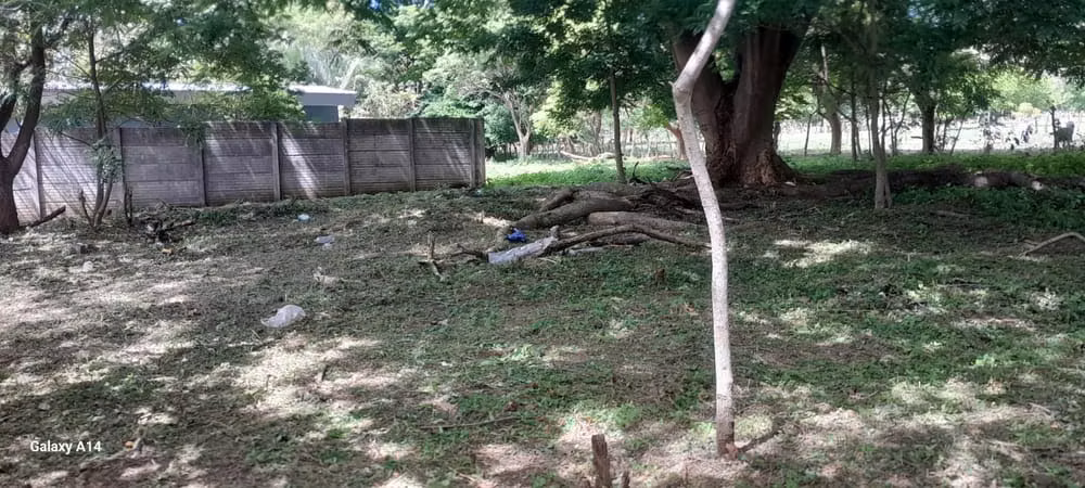 KC-Terreno esquinero en venta con 600 v² en Carretera Masaya - Imagen 3