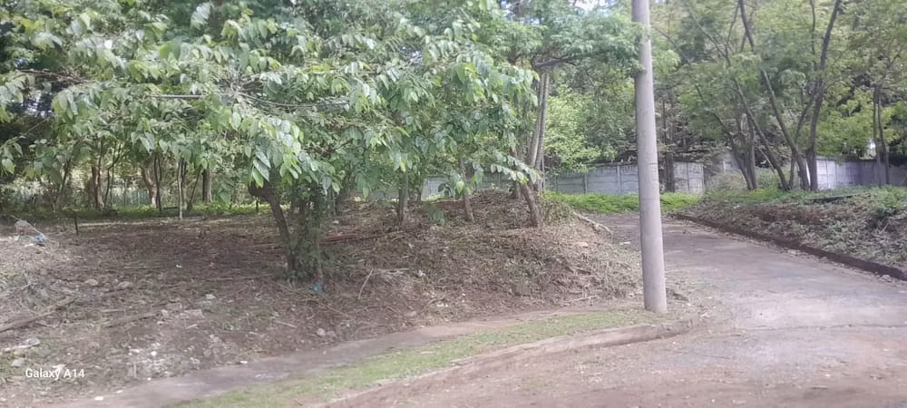KC-Terreno esquinero en venta con 600 v² en Carretera Masaya - Imagen 6