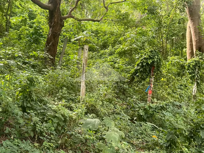 Terreno en Venta Carretera Sur, Managua - Imagen 5